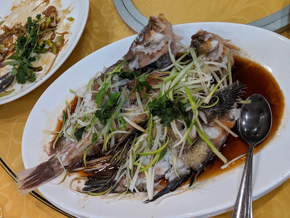 清蒸紅鷄魚頭腩, Haiyi Seafood Restaurant